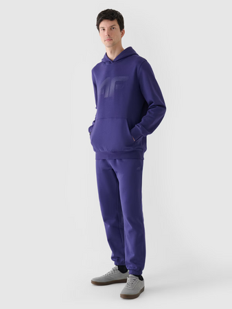 Bluza dresowa nierozpinana z kapturem męska 4F 4FWMM00TSWSM1766-31S