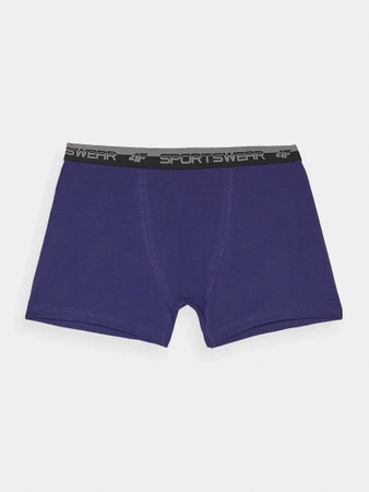 Bielizna bokserki (2-pack) męskie 4F