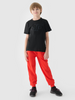 T-shirt z nadrukiem chłopięcy 4F Junior 4FJWMM00TTSHM1627-20S