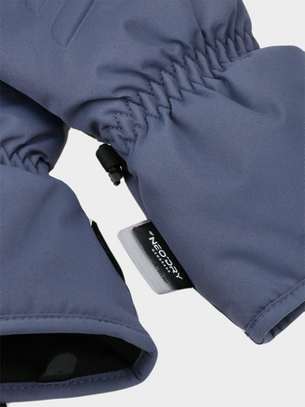 Rękawice narciarskie thinsulate męskie 4F 4FWAW24AFGLM149-32S