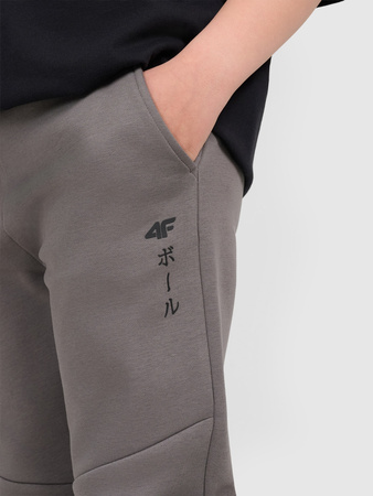 Spodnie dresowe joggery chłopięce 4F 4FJRAW25TTROM1663-24S