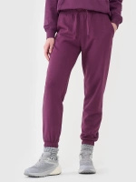 Spodnie dresowe joggery damskie 4F 4FWSS25TTROF0993-50S