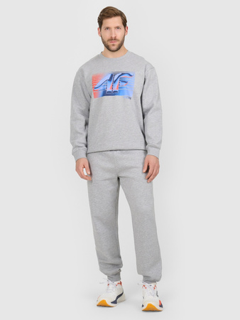 Spodnie dresowe joggery męskie 4F 4FRAW25TTROM1832-27M