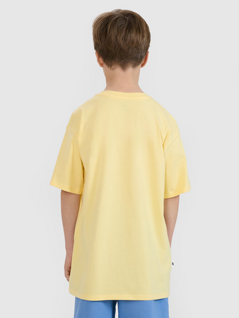 Chłopięcy t-shirt z nadrukiem 4F 4FJRSS25TTSHM2641-73S