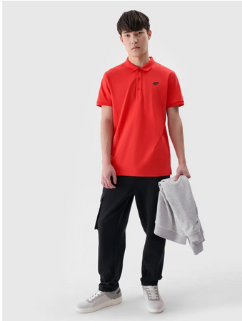 Koszulka polo regular męska 4F 4FWMM00TPTSM367-62S