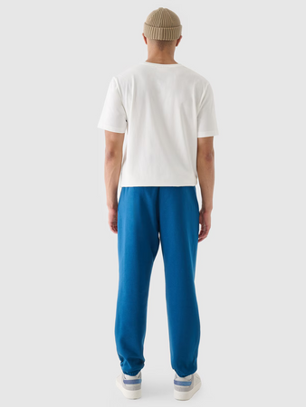 Spodnie dresowe joggery męskie 4F 4FWMM00TTROM1140-46S