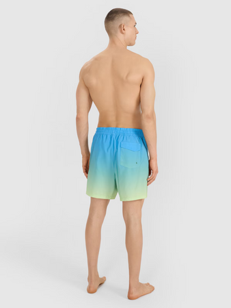 Spodenki plażowe męskie 4F 4FWSS25UBDSM132-33S