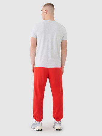 Spodnie dresowe joggery męskie 4F 4FWMM00TTROM1139-62S