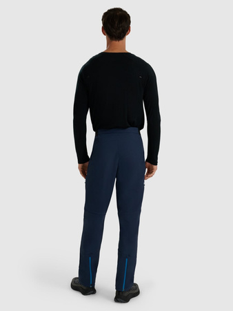 Spodnie trekkingowe męskie 4F 4FRAW25TFTRM1233-31S