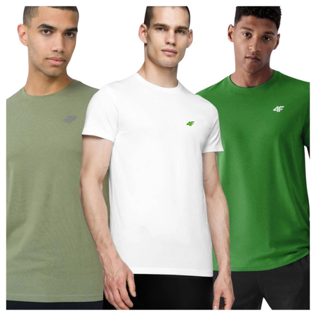 T-shirt męski (ZESTAW KOSZULEK 3 SZT.) 4F 4FWSS25TTSHM3965-96S