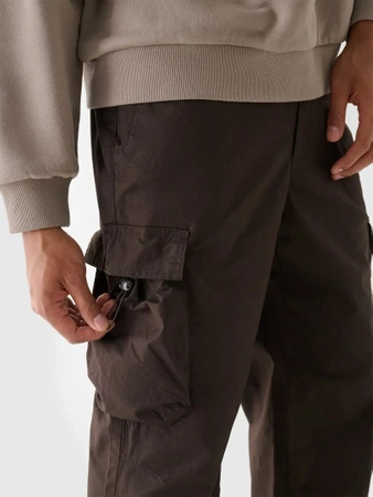 4F Spodnie męskie trekkingowe 4F 4FWAW24TTROM0842-80S Brązowy