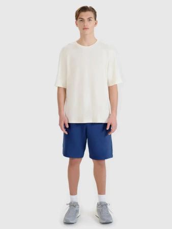 Spodenki męskie dresowe 4F 4FWMM00TSHOM543-031S