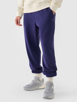 Spodnie dresowe joggery męskie 4F 4FWMM00TTROM1139-31S