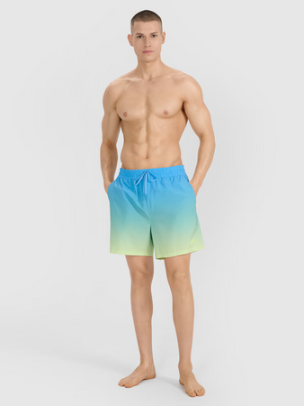 Spodenki plażowe męskie 4F 4FWSS25UBDSM132-33S