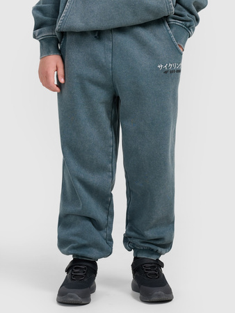 Spodnie dresowe joggery chłopięce 4F 4FJRAW25TTROM1528-46S