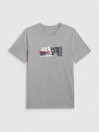 T-shirt regular z nadrukiem męski 4F 4FRAW25TTSHM3364-27M