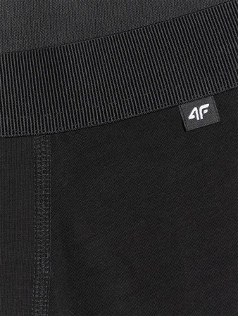 Bielizna bokserki (2-pack) męskie 4F 4FWMM00UBXSM059-20S