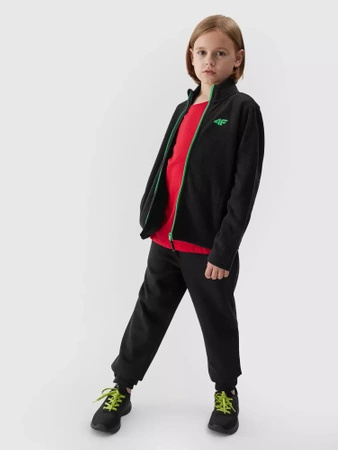 Polar ze stójką regular chłopięcy 4F Junior