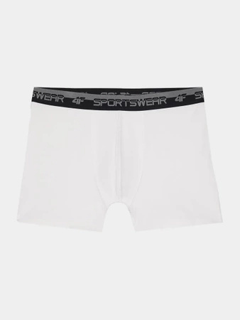 Bielizna męska bokserki (komplet 2 par) 4F