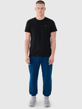 Spodnie męskie dresowe 4F 4FWMM00TTROM1139-46S