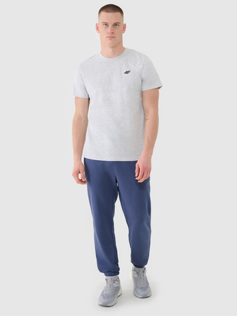 Spodnie dresowe joggery męskie 4F 4FWMM00TTROM1139-32S