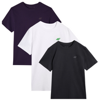 T-shirt męski (ZESTAW KOSZULEK 3 SZT.) 4F 4FWSS25TTSHM3965-95S