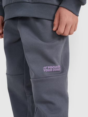 Spodnie dresowe joggery chłopięce 4F 4FJRAW25TTROM1605-22S