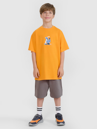 Chłopięcy t-shirt z nadrukiem 4F 4FJRSS25TTSHM2641-70S