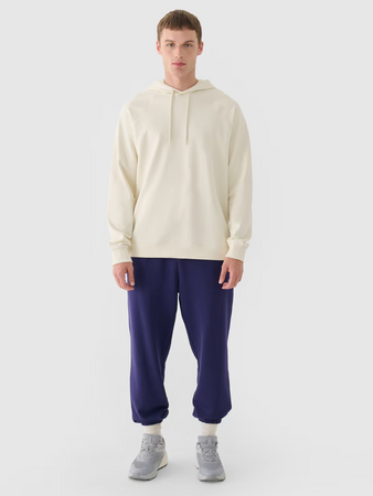 Spodnie dresowe joggery męskie 4F 4FWMM00TTROM1139-031S