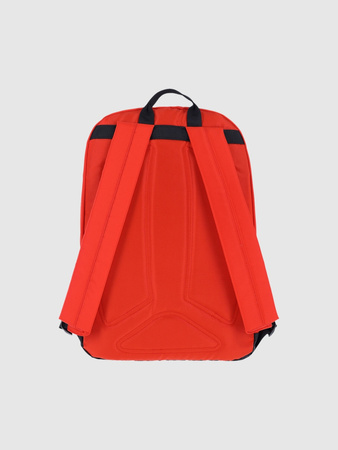 Plecak miejski (20 l) uniseks 4F 4FRAW24ABACU498-70S