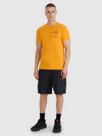 T-shirt regular z nadrukiem męski 4F 4FRSS25TTSHM2688-70S