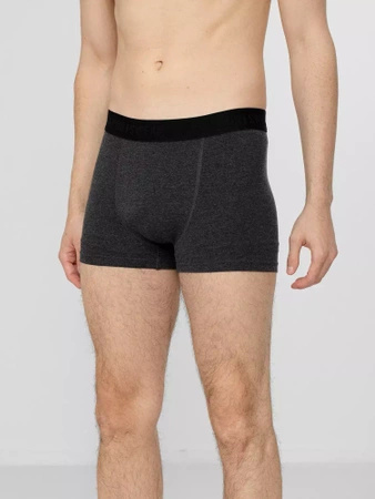 Bokserki męskie (2-pak) 4F H4Z22-BIM350