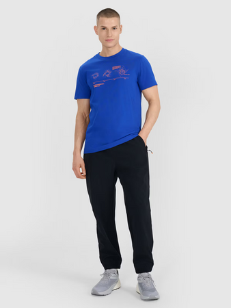 Spodnie casual męskie 4F 4FWSS25TTROM1001-20S