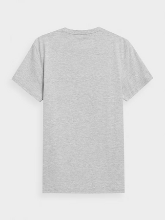 T-shirt regular z nadrukiem męski 4F 4FWMM00TTSHM1844-27M