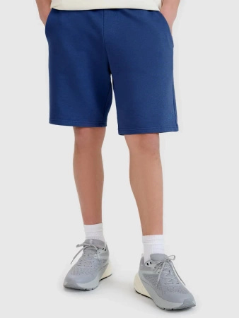 Spodenki męskie dresowe 4F 4FWMM00TSHOM543-031S