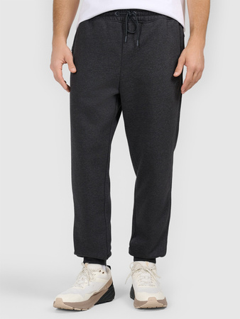 Spodnie dresowe joggery męskie 4F 4FRAW25TTROM1696-22S