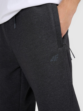 Spodnie dresowe joggery męskie 4F 4FRAW25TTROM1696-22S