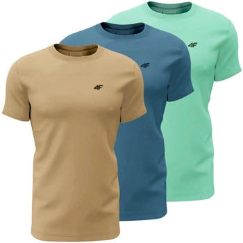 T-shirt męski (ZESTAW KOSZULEK 3 SZT.) 4F 4FWSS25TTSHM3094-91S