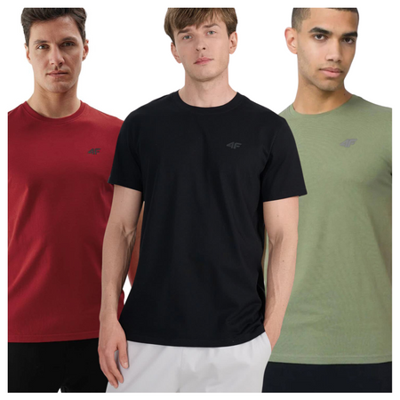 T-shirt męski (ZESTAW KOSZULEK 3 SZT.) 4F 4FWSS25TTSHM3965-91S