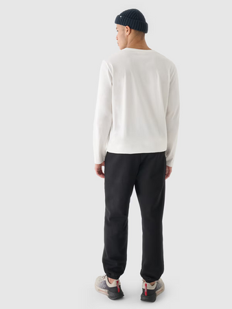 Spodnie dresowe joggery męskie 4F 4FWMM00TTROM1140-20S