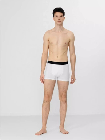 Bokserki męskie (2-pak) 4F H4Z22-BIM350