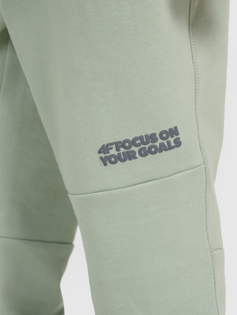 Spodnie dresowe joggery chłopięce 4F 4FJRAW25TTROM1605-44S