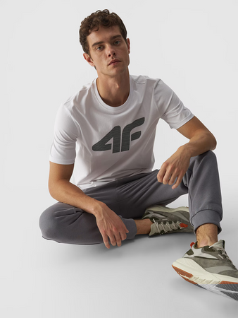 T-shirt regular z nadrukiem męski 4F 4FWMM00TTSHM1844-10S