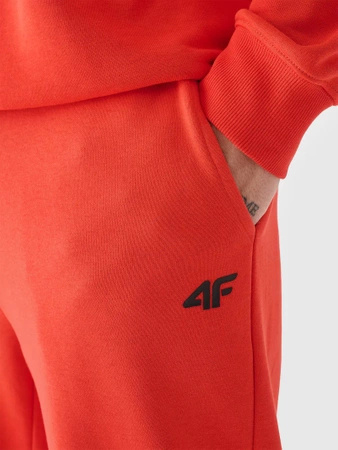 Dresowe spodnie męskie 4F 4FWMM00TTROM0943-70S