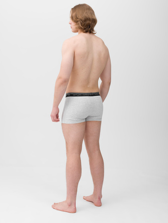 Bielizna męska bokserki (komplet 2 par) 4F