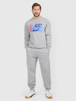 Spodnie dresowe joggery męskie 4F 4FRAW25TTROM1832-27M