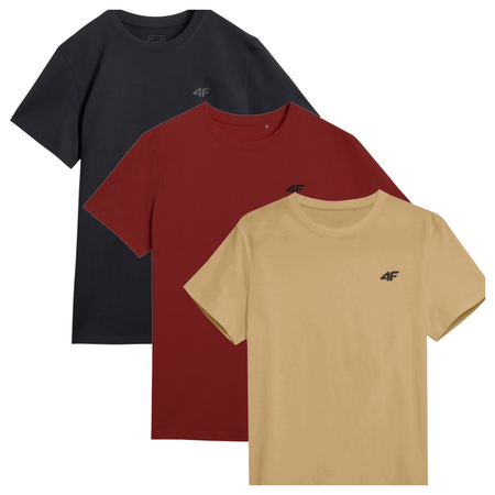 T-shirt męski (ZESTAW KOSZULEK 3 SZT.) 4F 4FWSS25TTSHM3965-92S