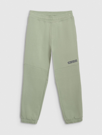 Spodnie dresowe joggery chłopięce 4F 4FJRAW25TTROM1605-44S