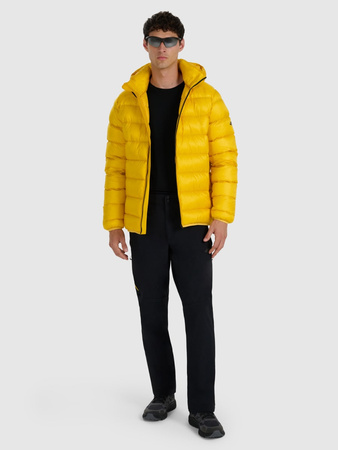 Spodnie trekkingowe męskie 4F 4FRAW25TFTRM1233-20S