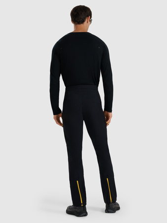 Spodnie trekkingowe męskie 4F 4FRAW25TFTRM1233-20S